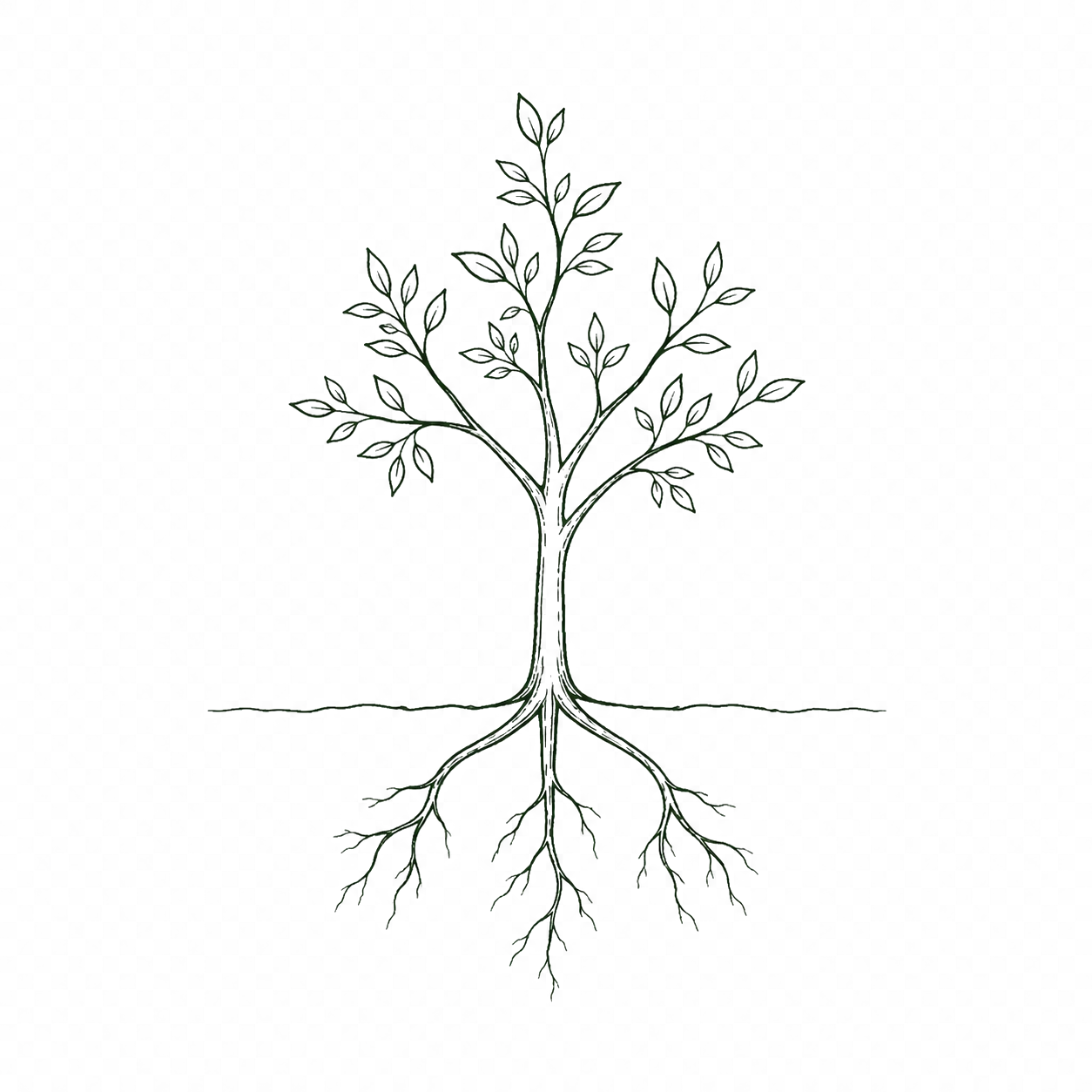 Hand-drawn line illustration of a tree with roots